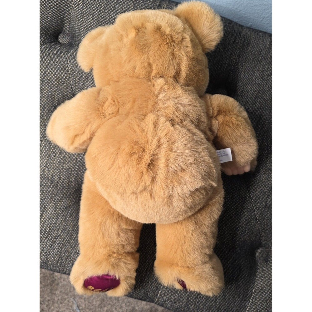1998 Special Friends Kuddle  Plush Bear Stuffed Animal Toy Vintage - Picture 2 of 10